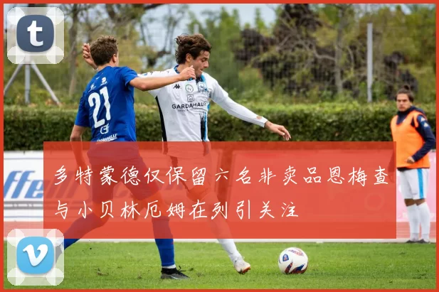 多特蒙德仅保留六名非卖品恩梅查与小贝林厄姆在列引关注