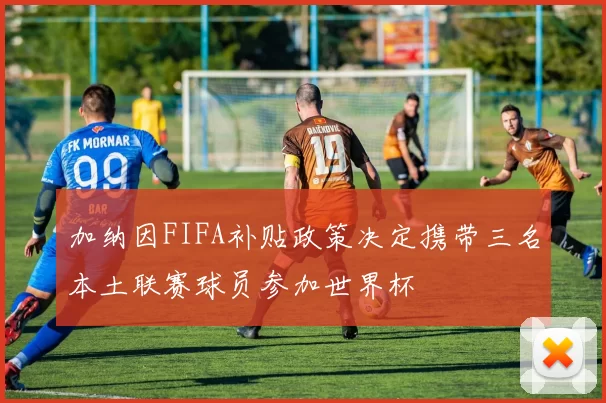 加纳因FIFA补贴政策决定携带三名本土联赛球员参加世界杯
