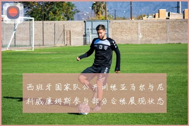 西班牙国家队公开训练亚马尔与尼科威廉姆斯参与部分合练展现状态